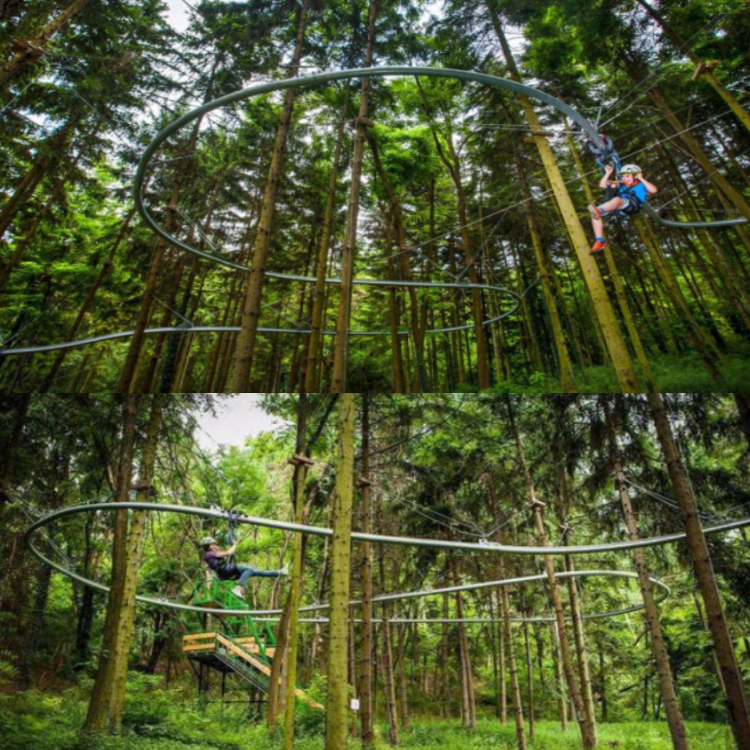 1637718902153540.png 750.1.png