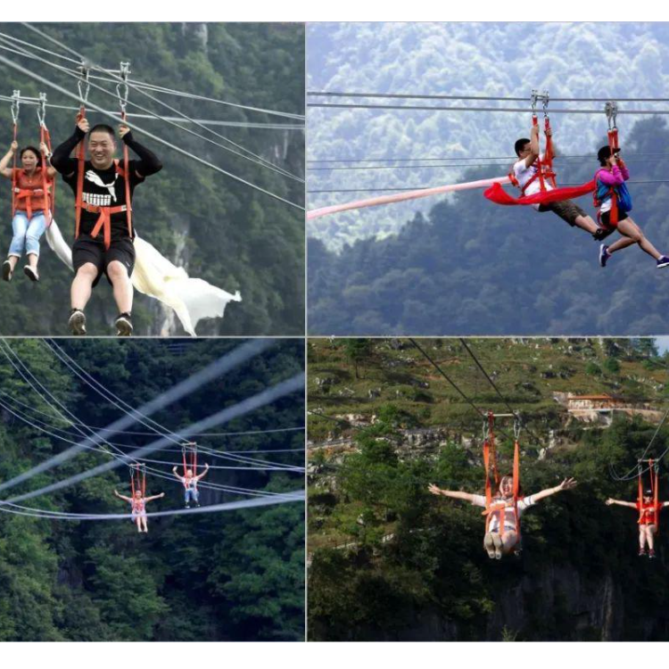 1637718912548845.png 750.3.png